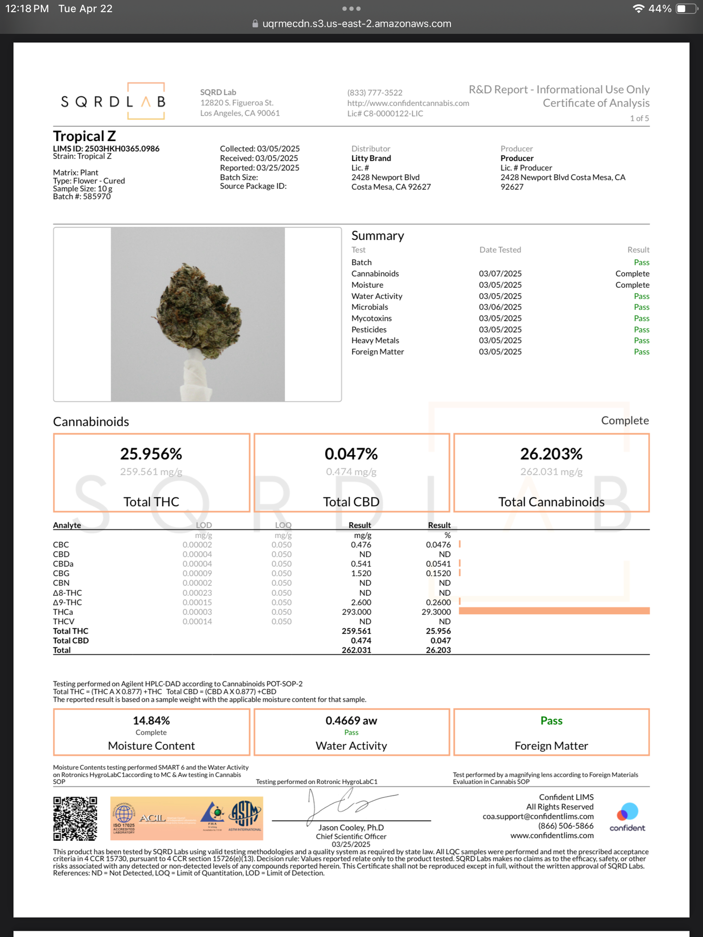 Litty 1G Flower