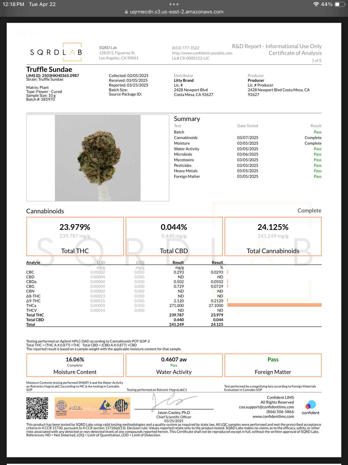 Litty 1G Flower