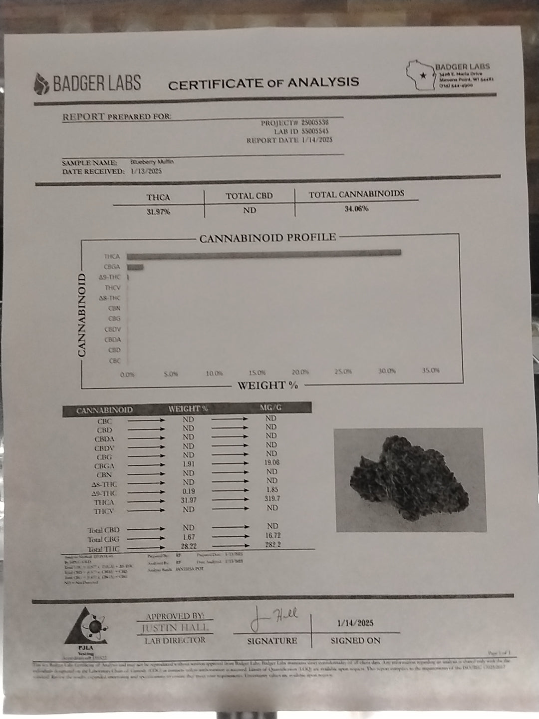 Grav Labs Preload Taster