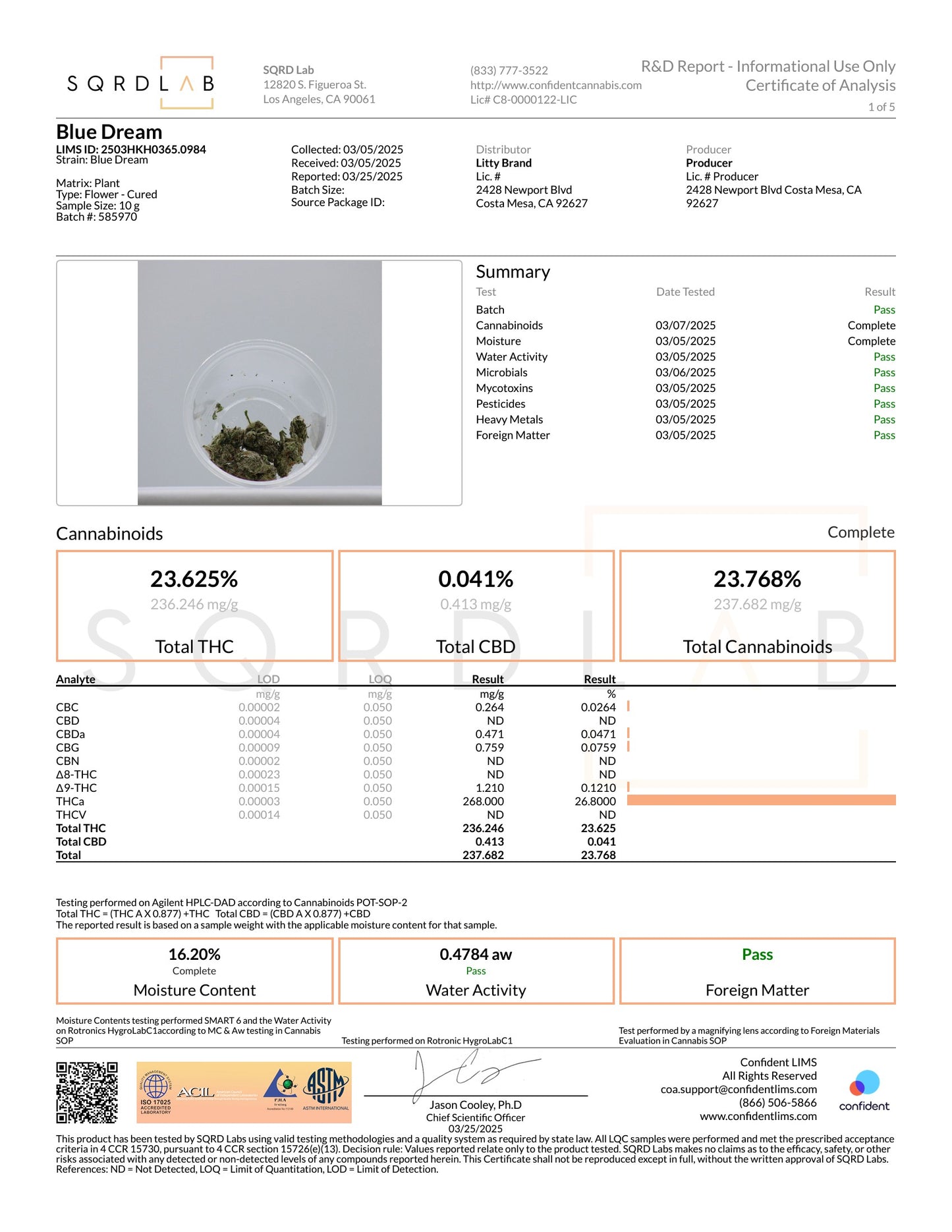Litty 1G Flower