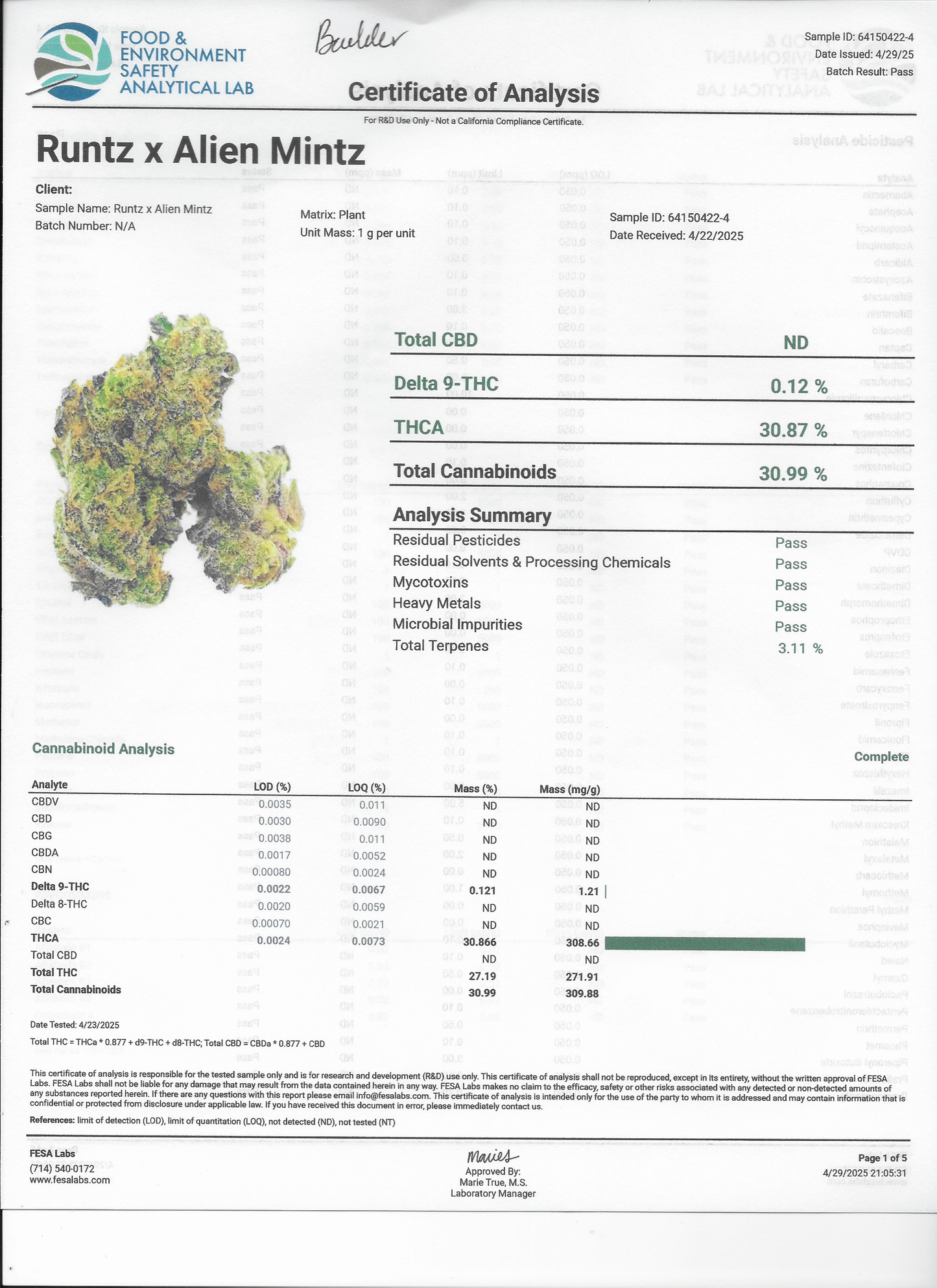 Juicy Lucy's Live Badder-Infused