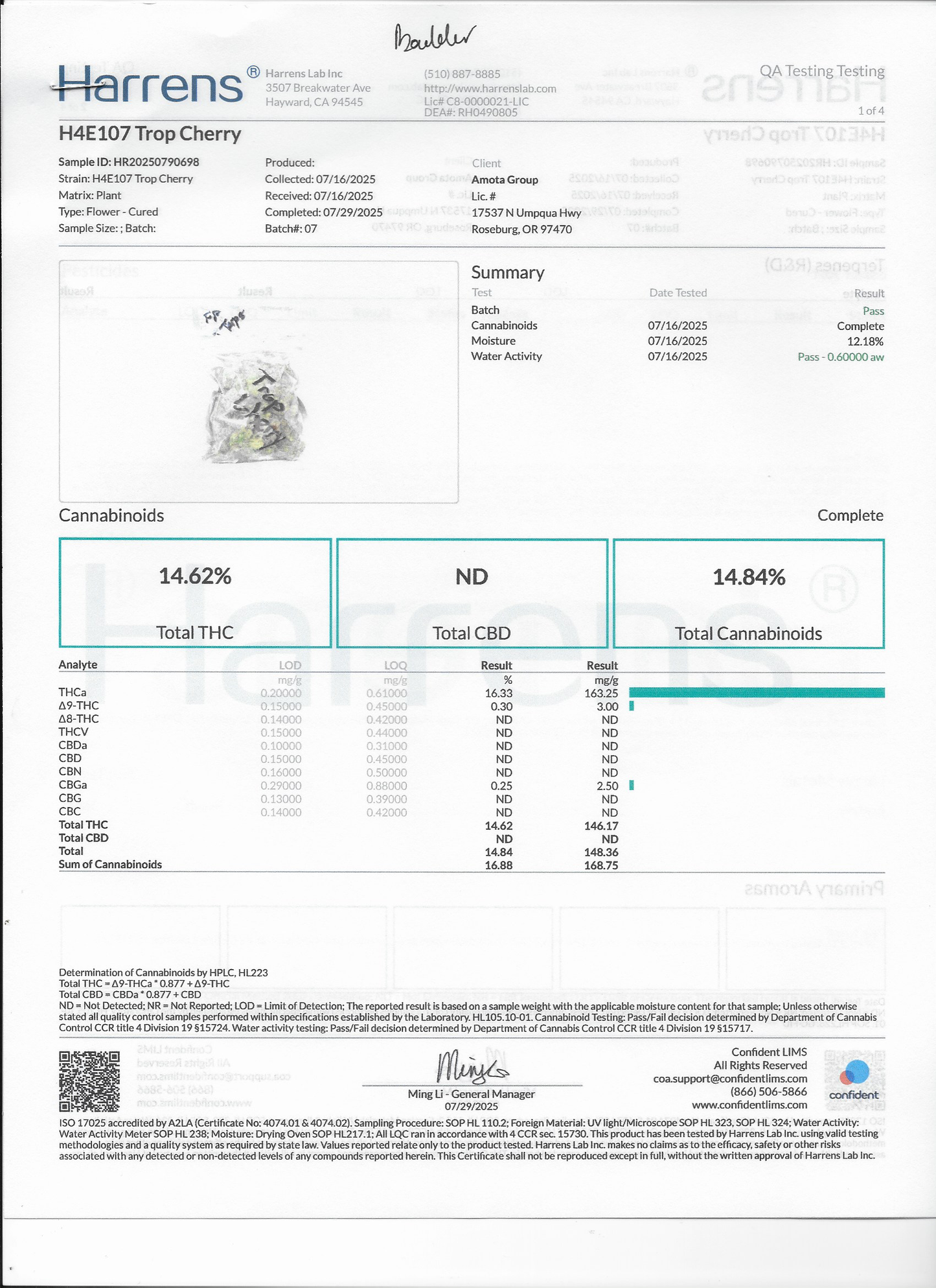 Juicy Lucy's Live Badder-Infused