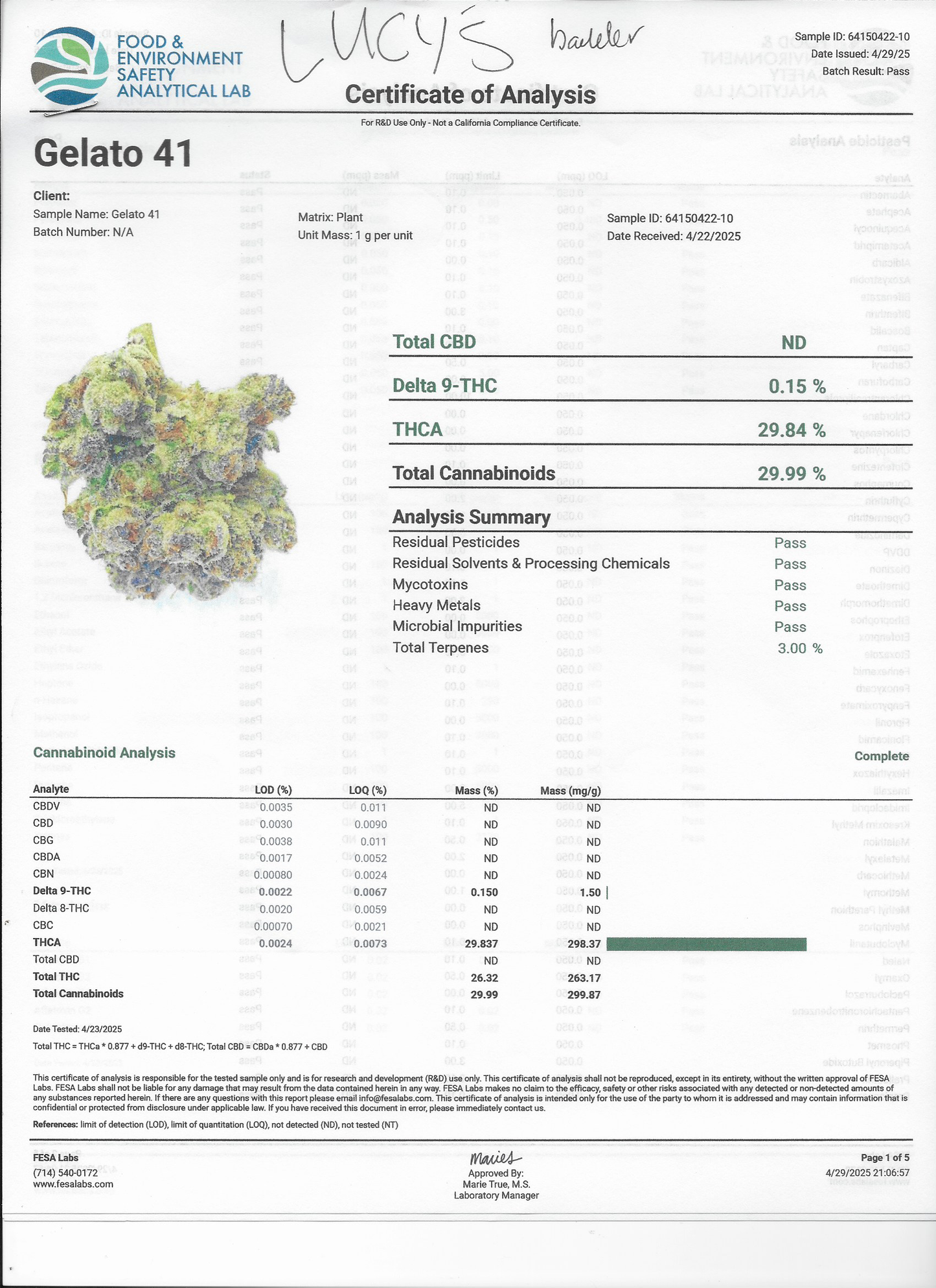 Juicy Lucy's Live Badder-Infused