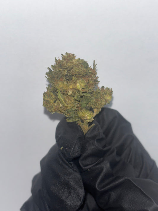 House C Grade Flower