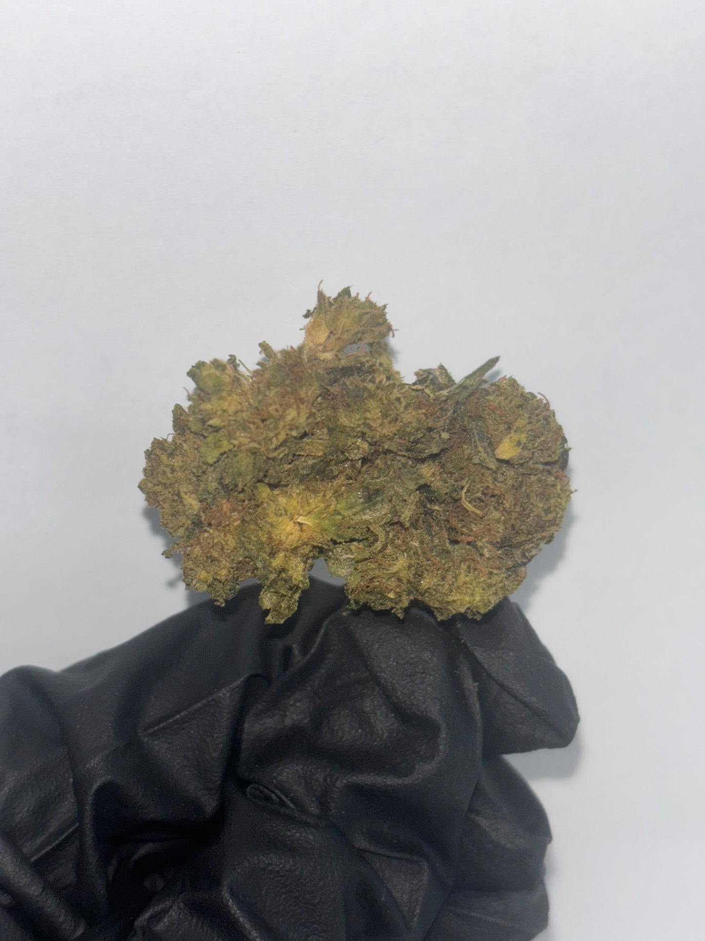 House C Grade Flower