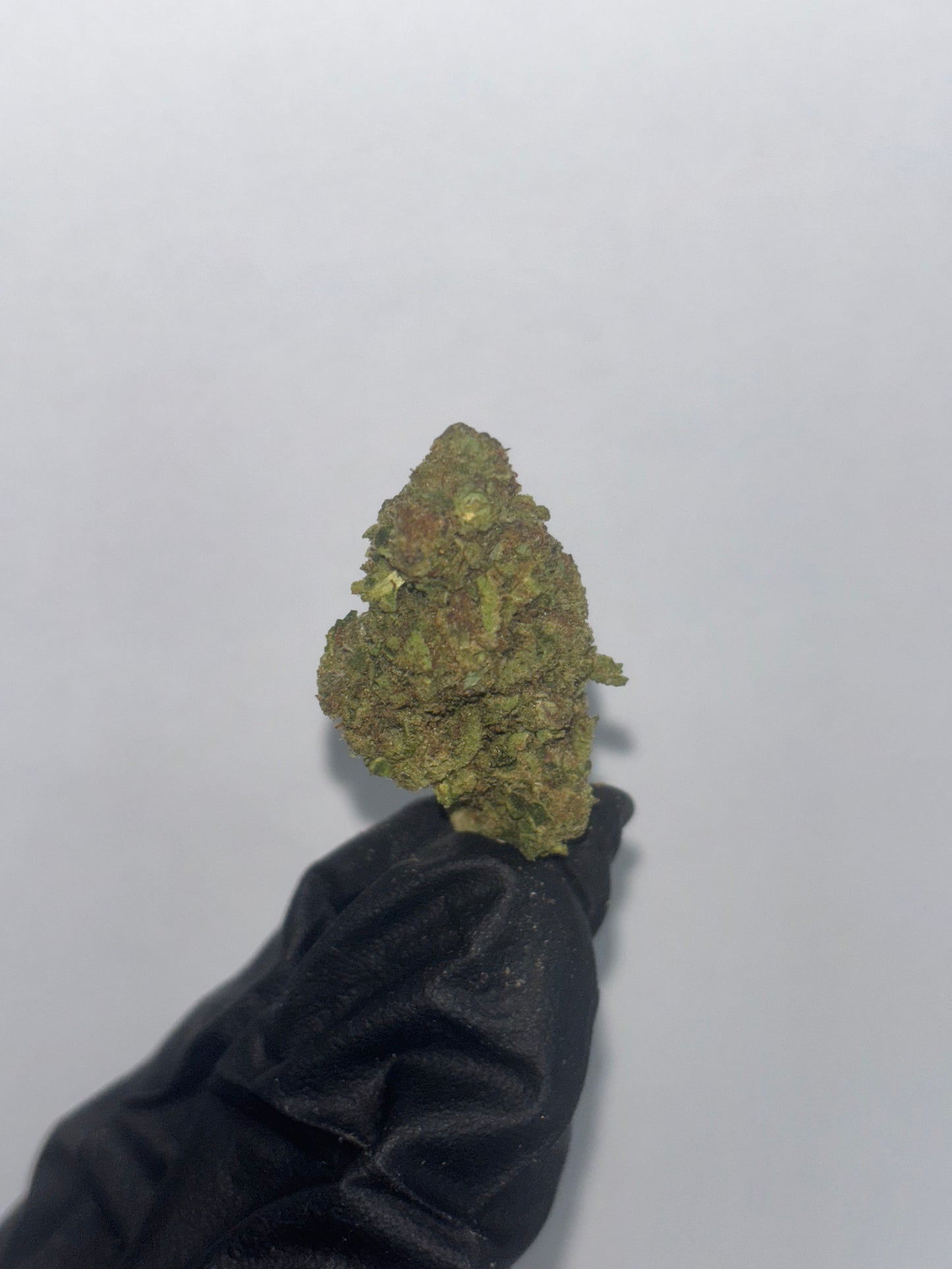 House B Grade Flower