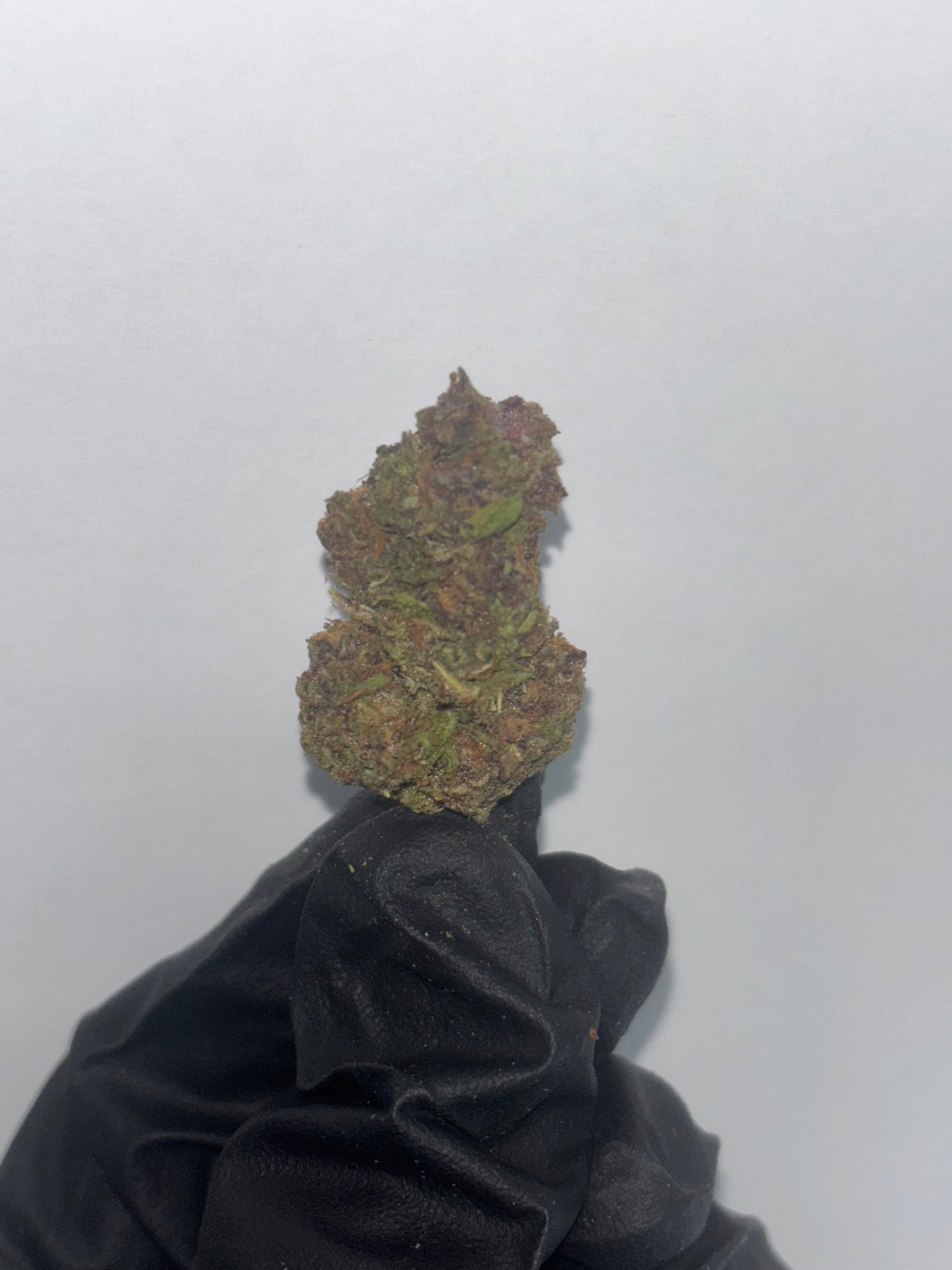 House B Grade Flower